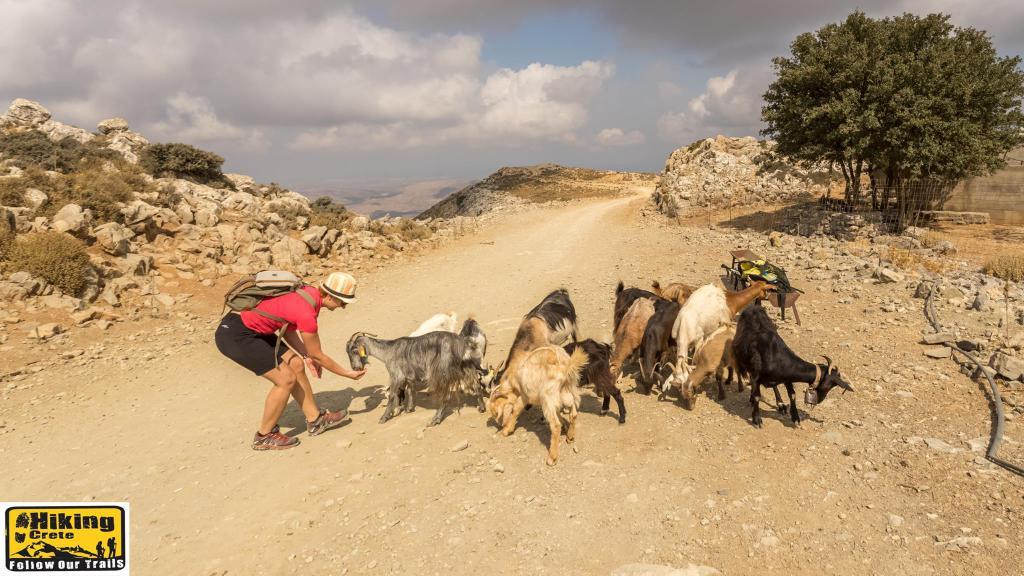 discover crete