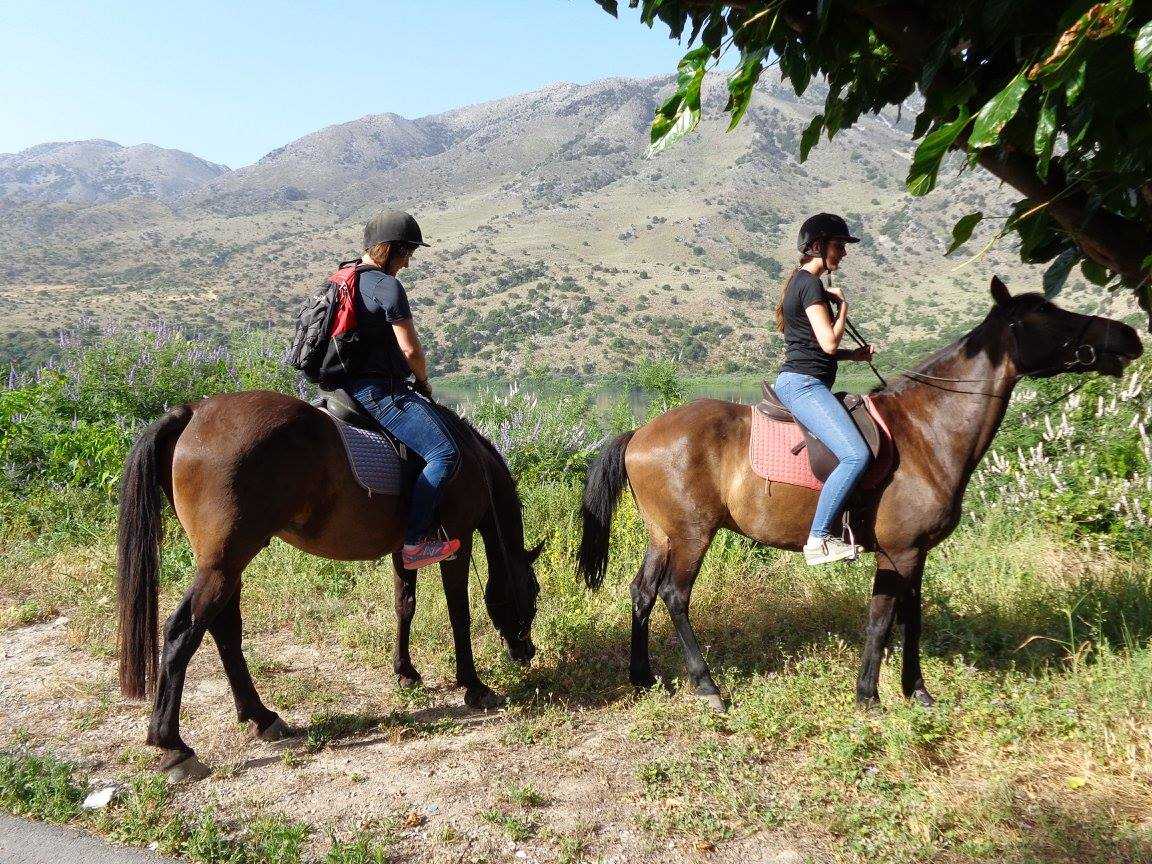 discover crete