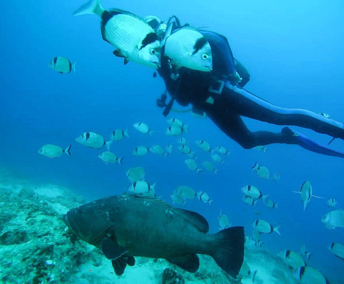 discover crete