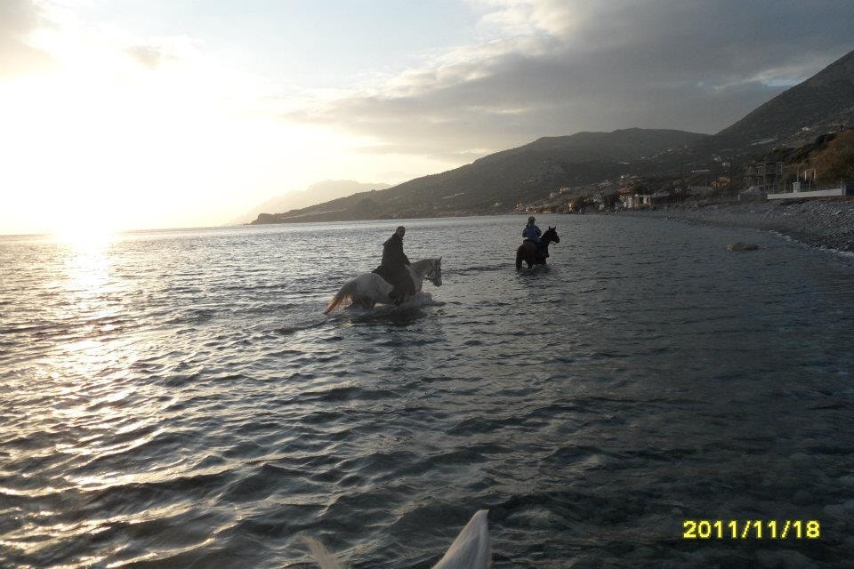 discover crete