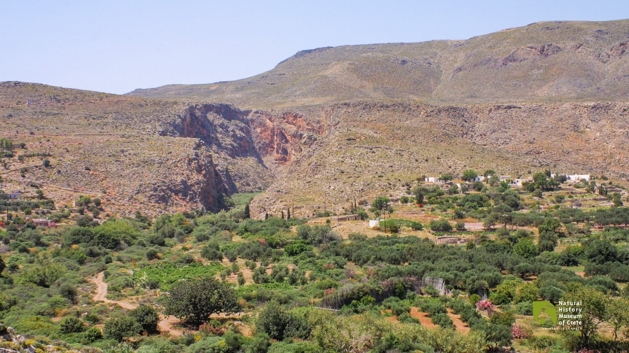 discover crete