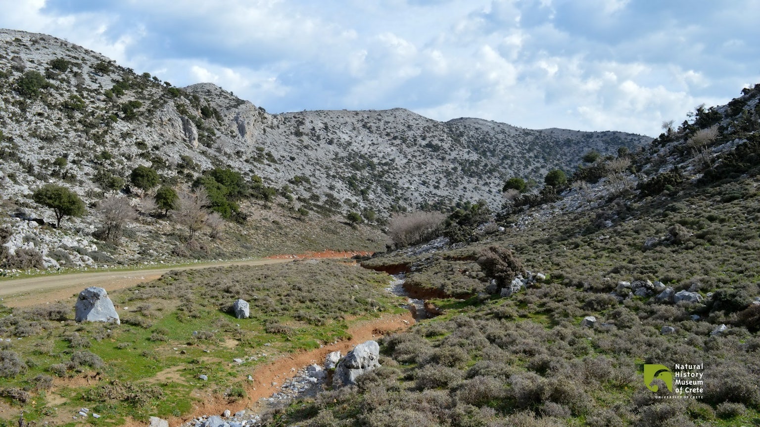 Krousonas or Gaidourorachi (Donkey’s Back) Gorge