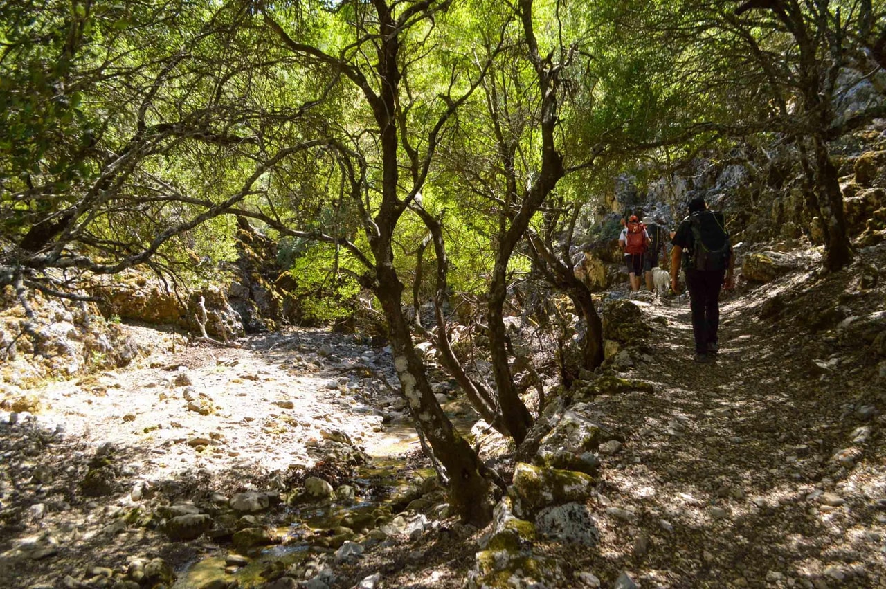 discover crete
