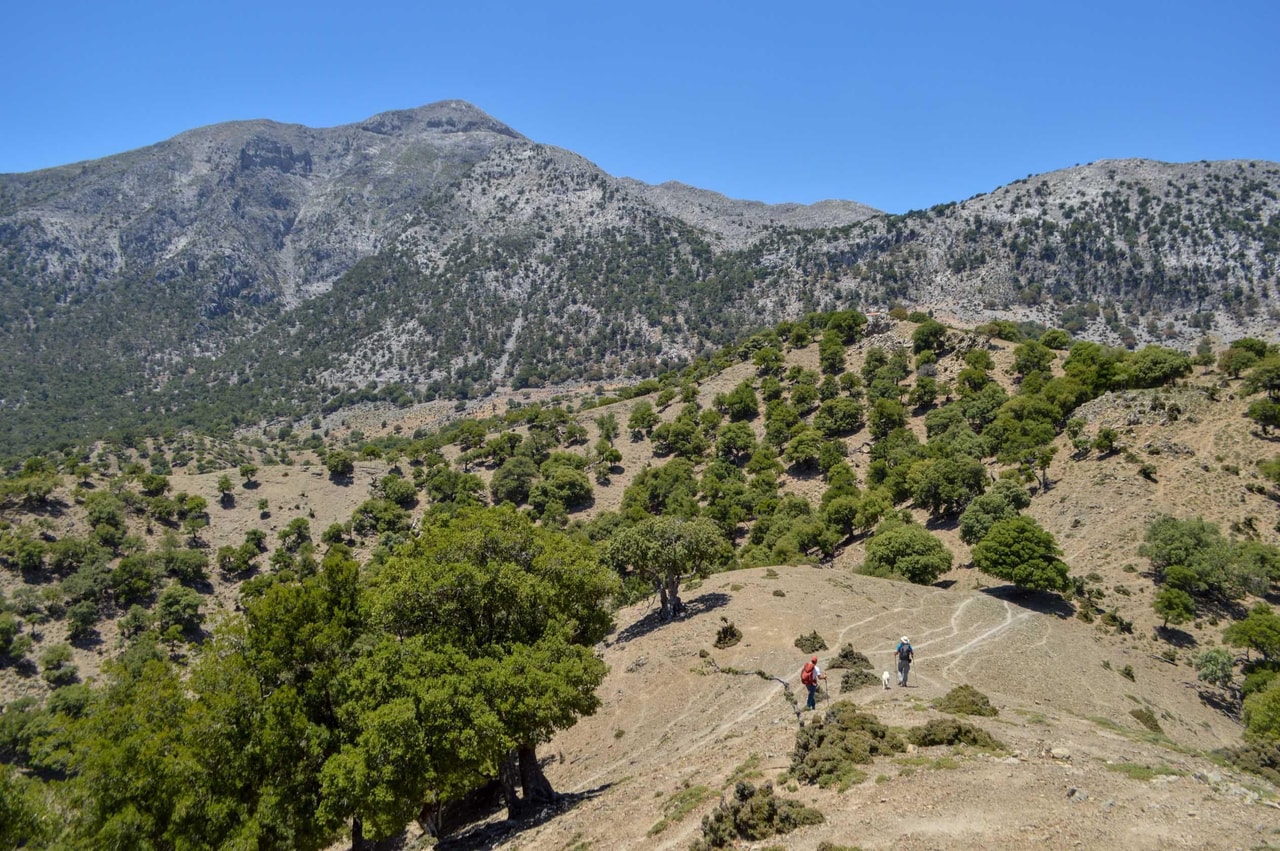 discover crete