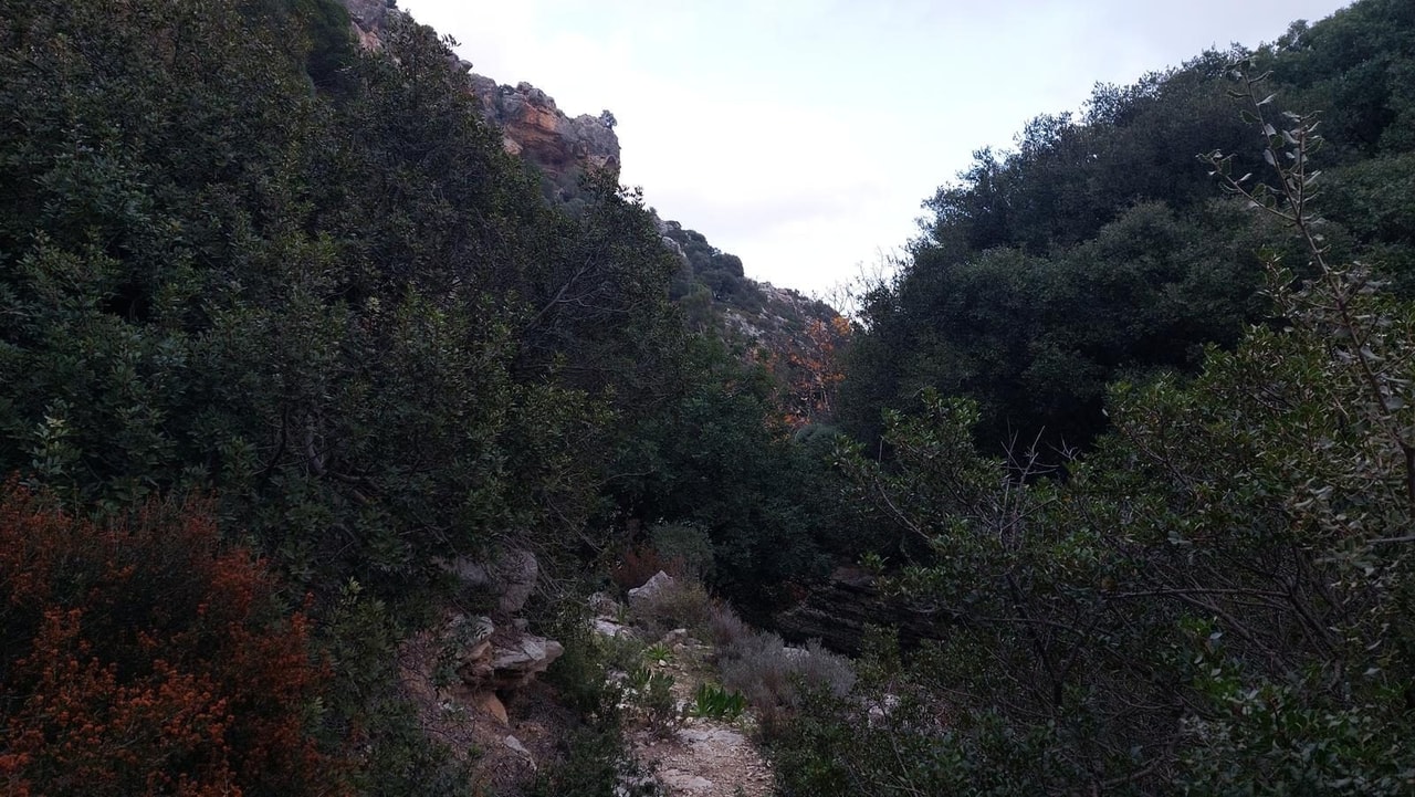 discover crete