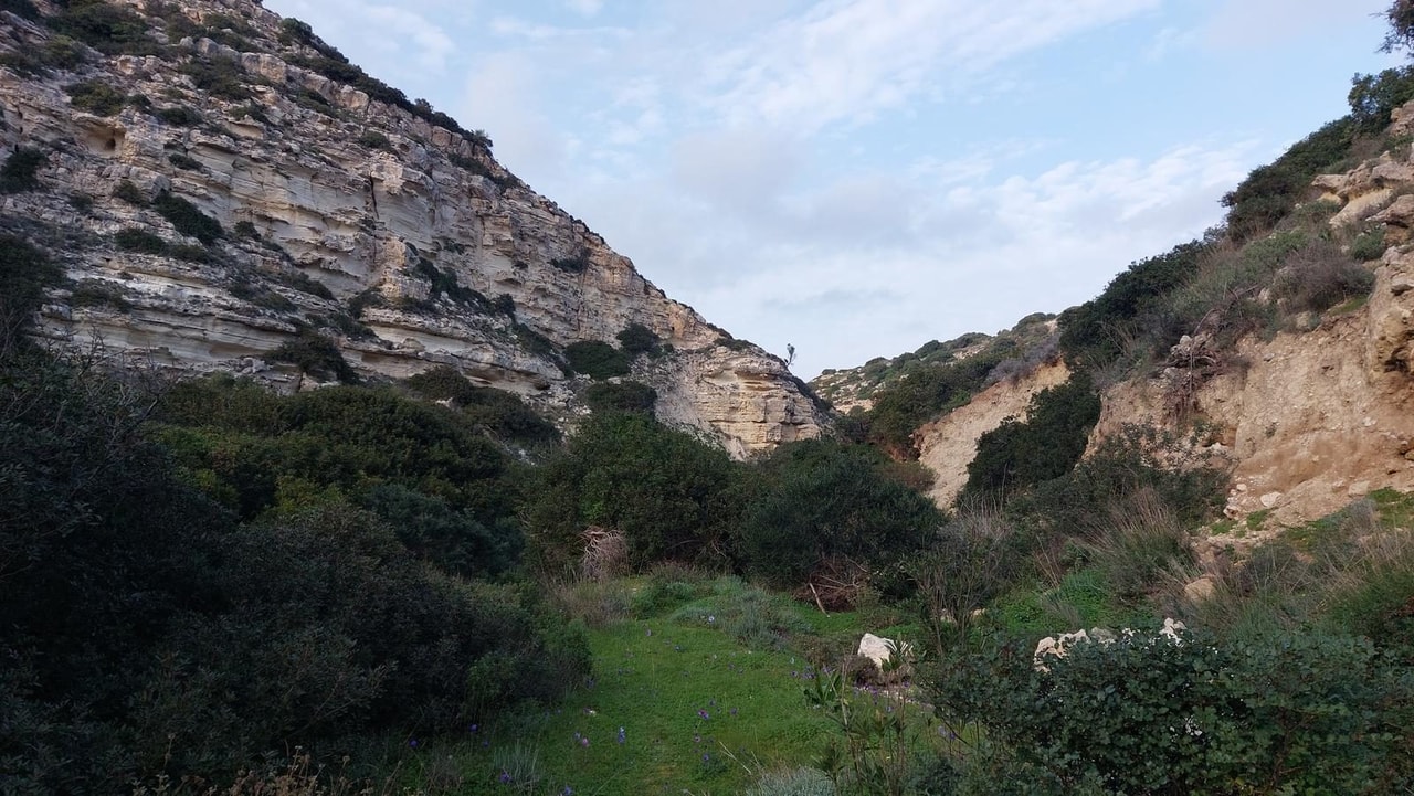 discover crete
