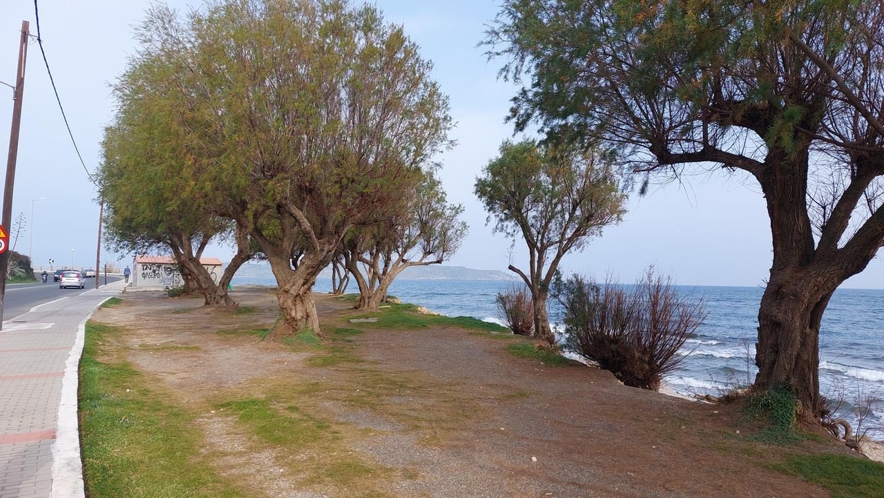 discover crete