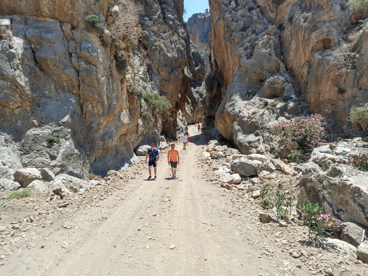 discover crete