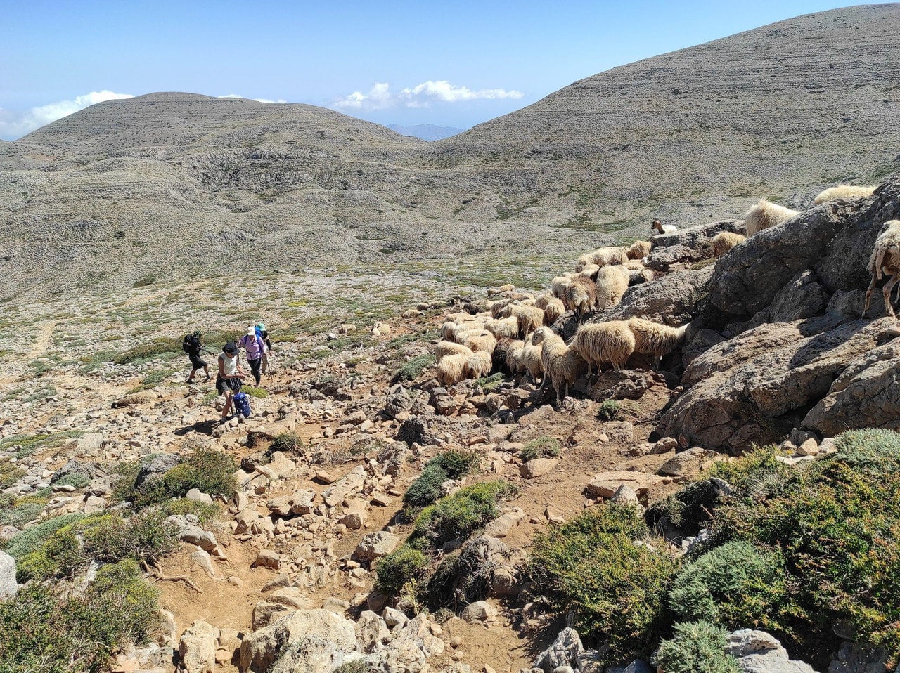 discover crete