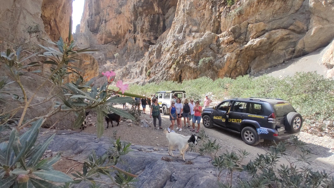 discover crete