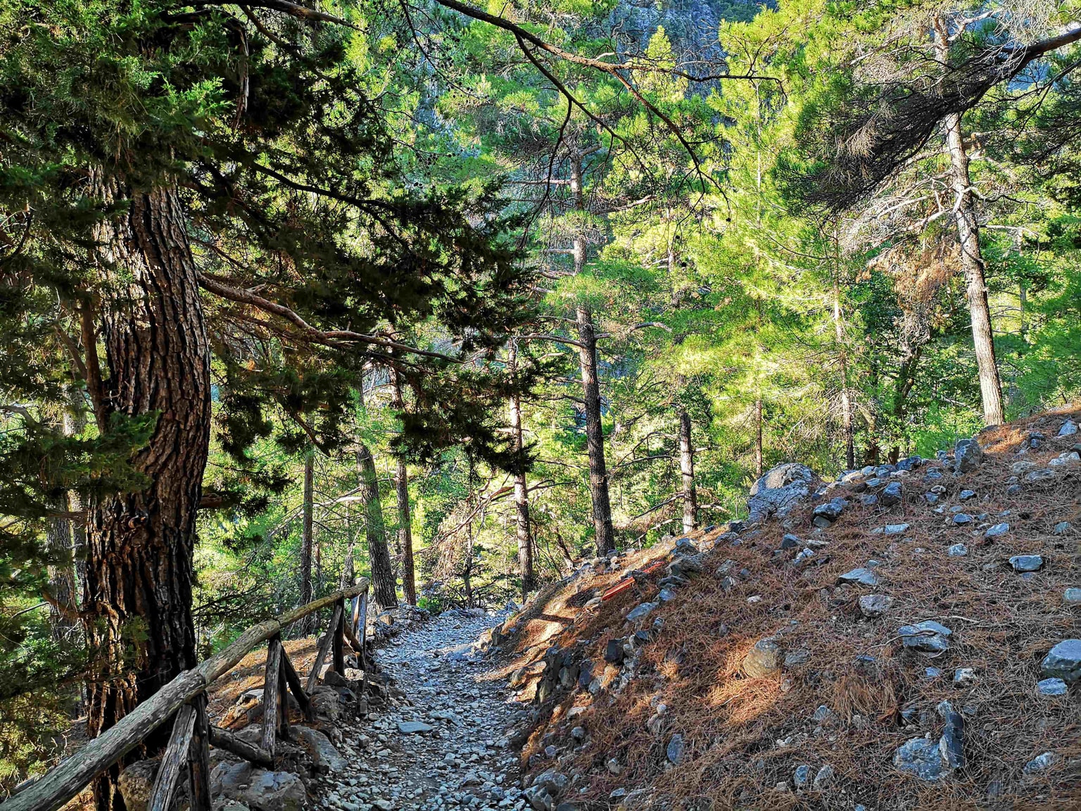 Traverse the Samaria Gorge