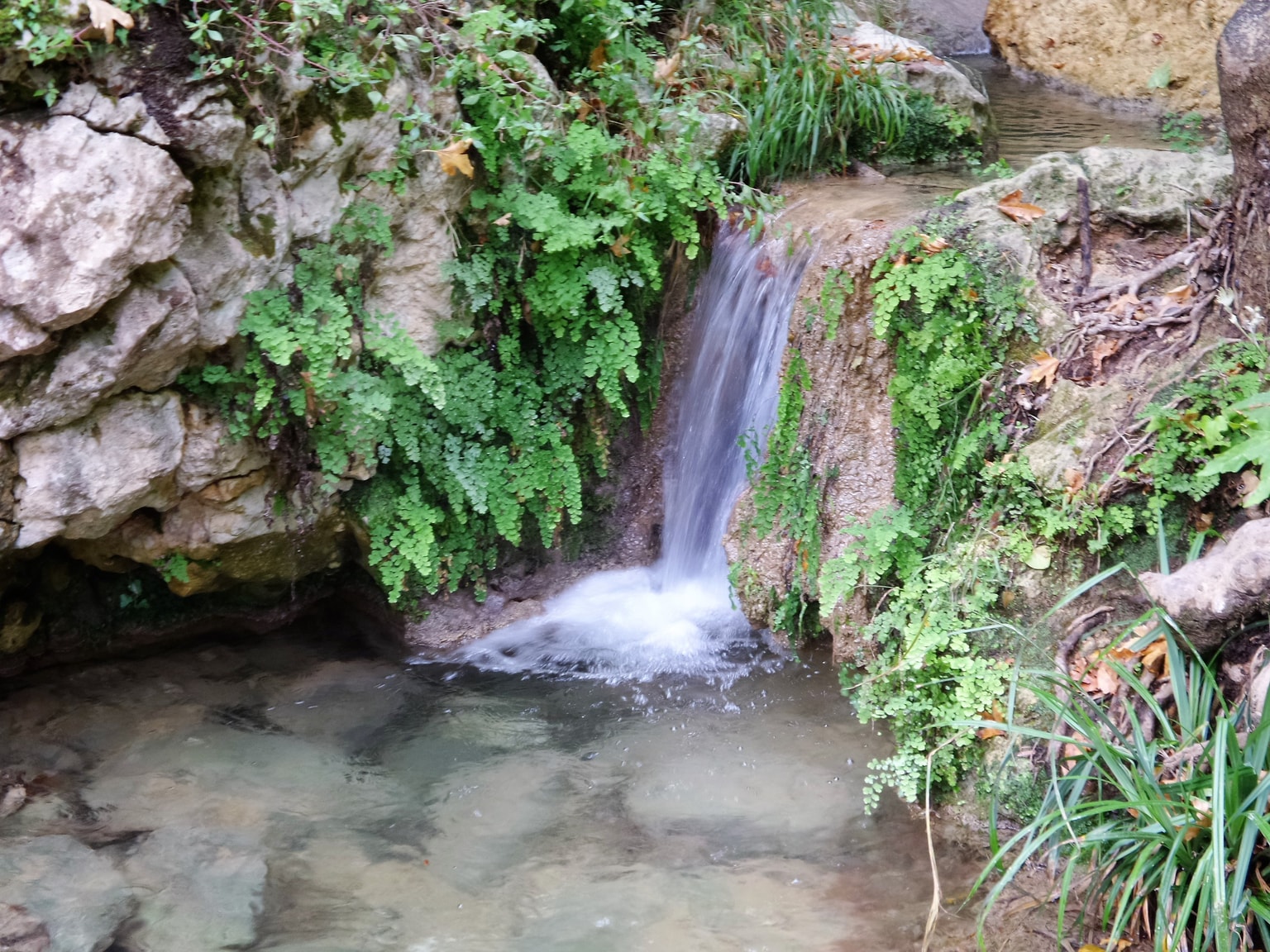 Myli Gorge: An Enchanting Nature Trail