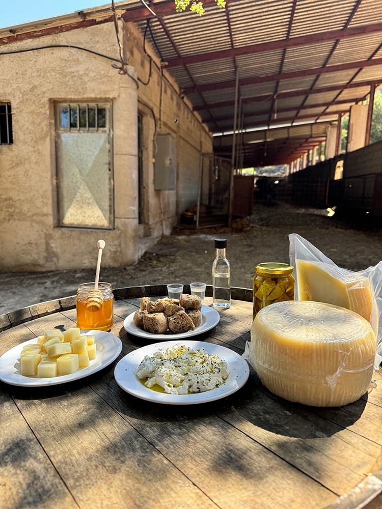 Agroroutes: A unique experience to discover every aspect of Crete!