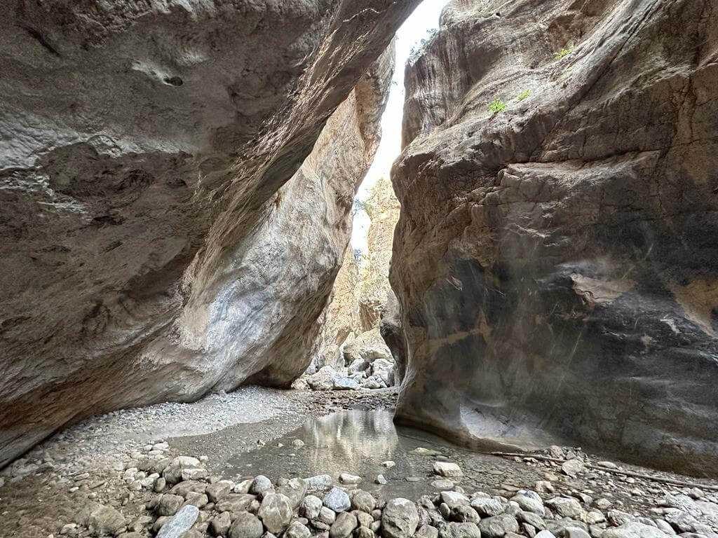 discover crete