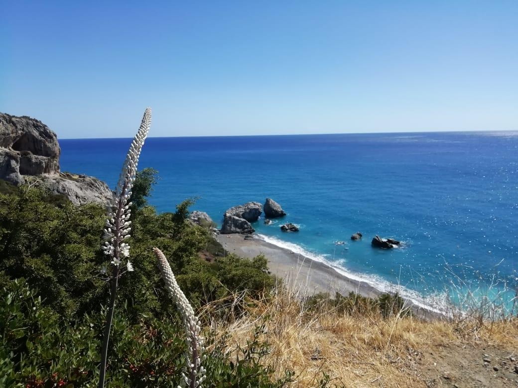 discover crete