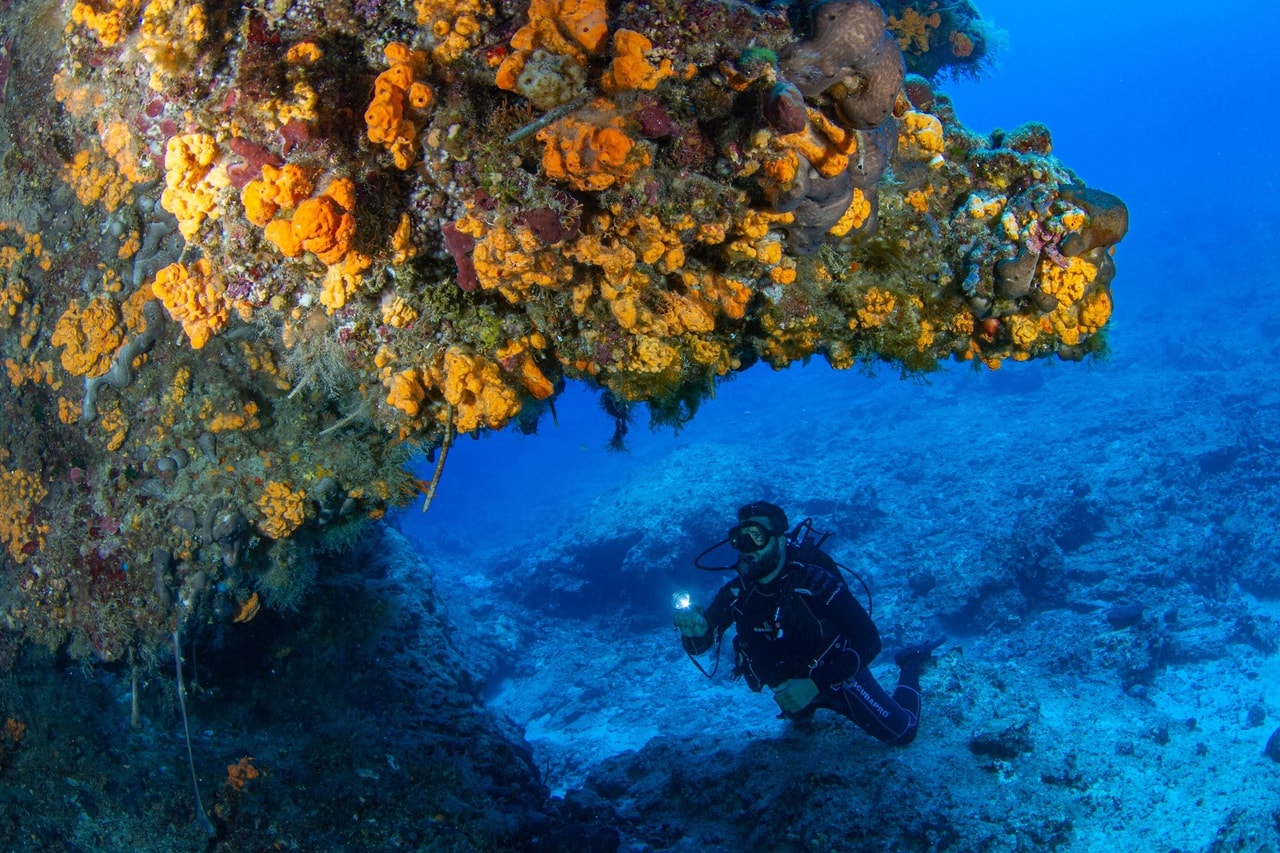 discover crete