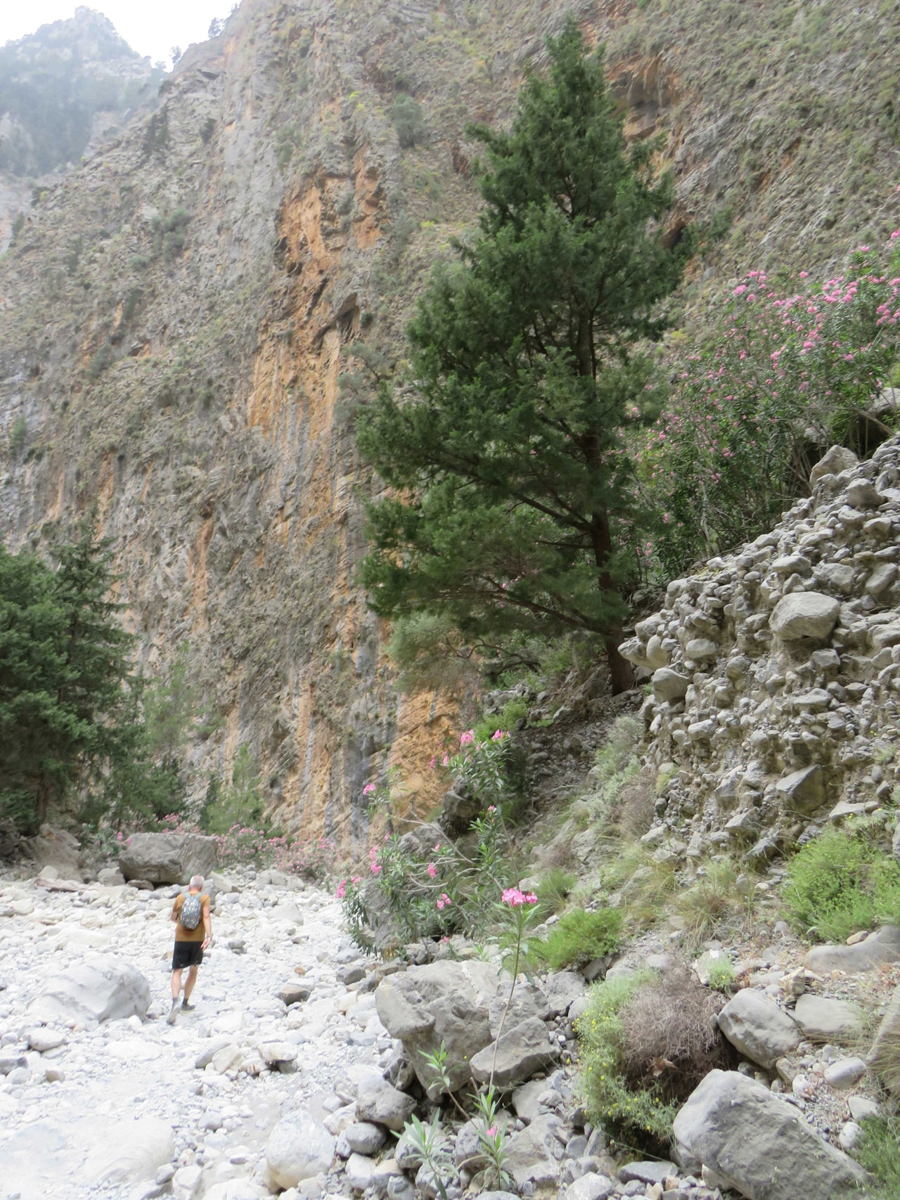 discover crete
