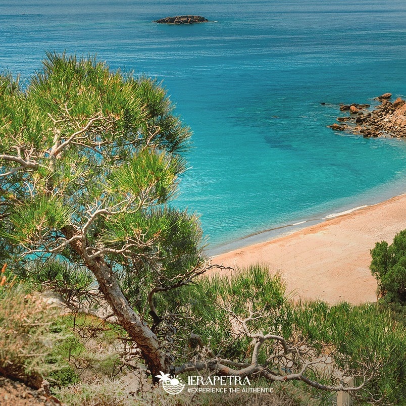 discover crete