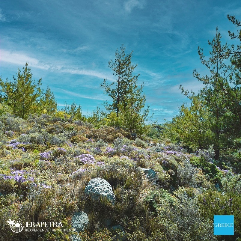 discover crete