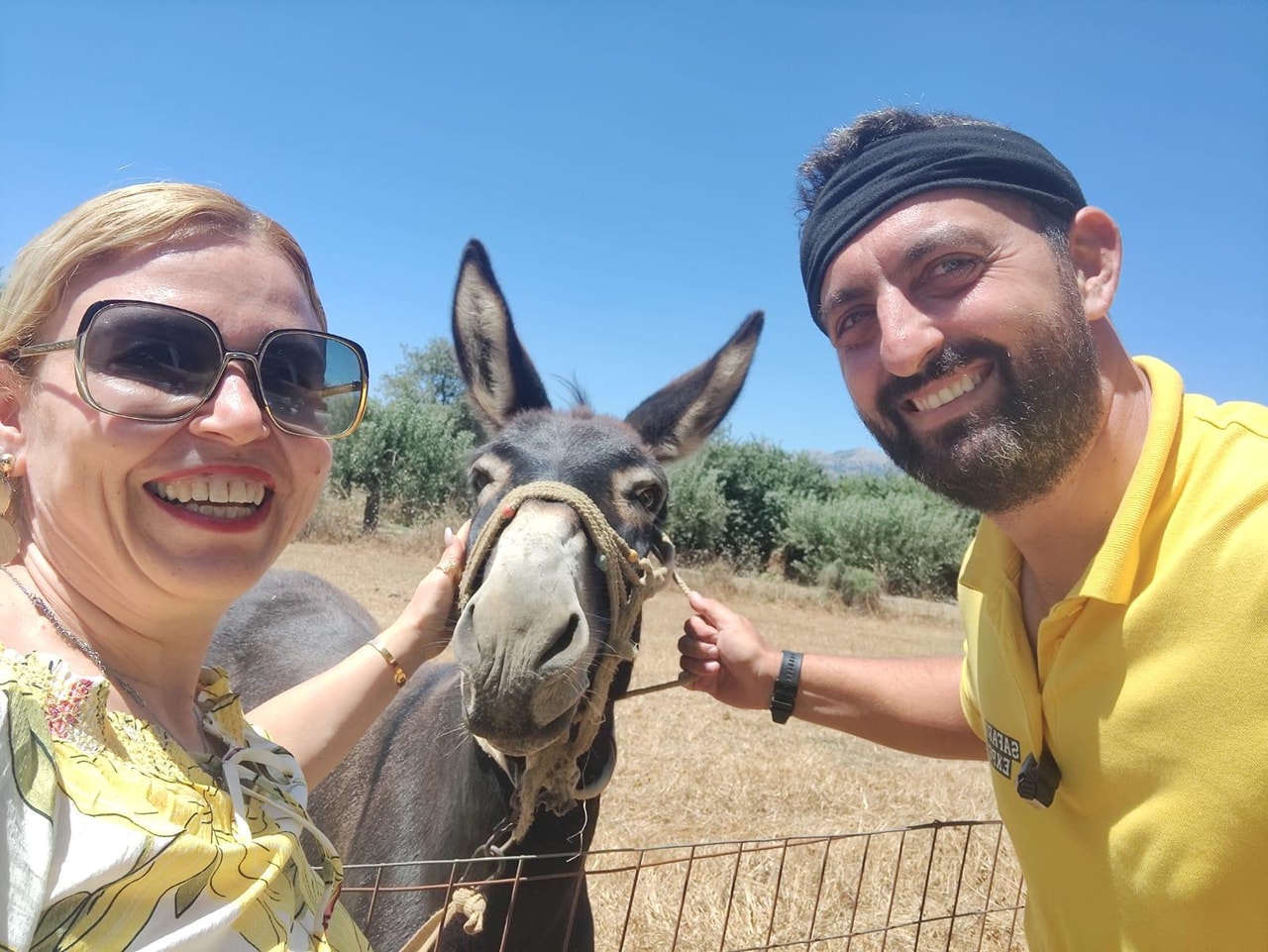 discover crete