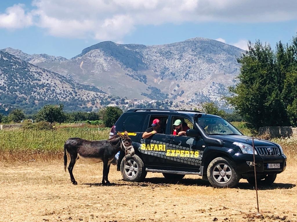 discover crete