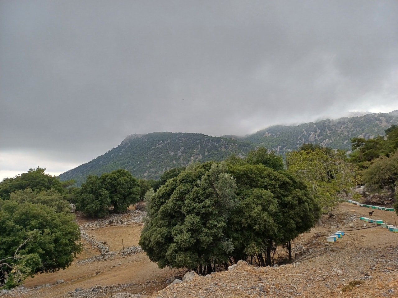 discover crete
