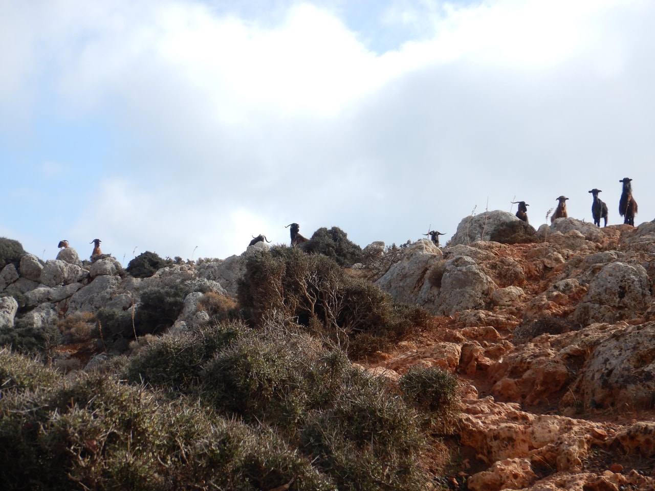 discover crete