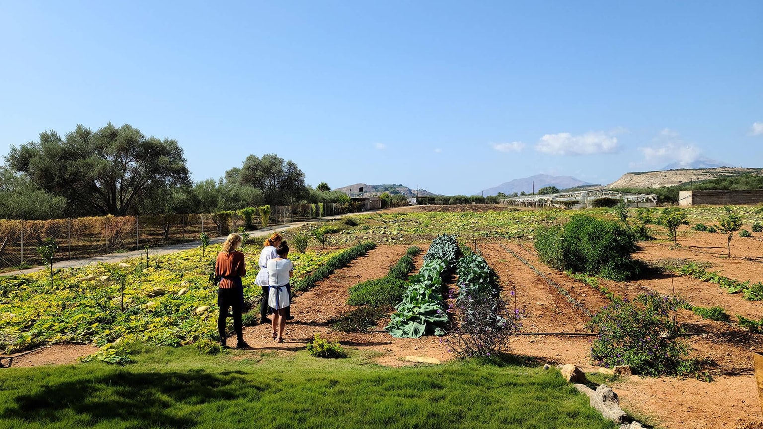 Cooking Class and Food Tour: A Culinary Adventure!