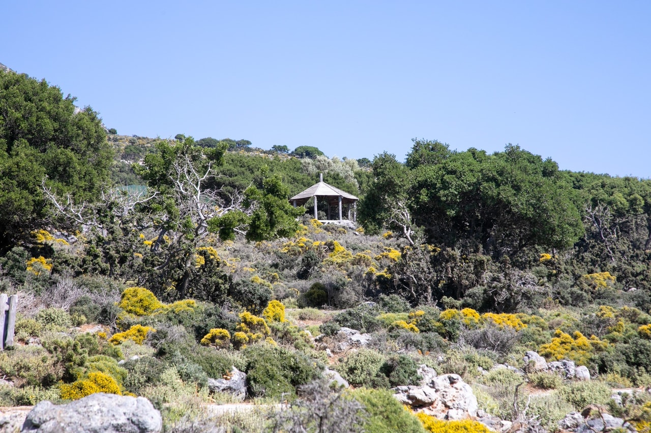 discover crete