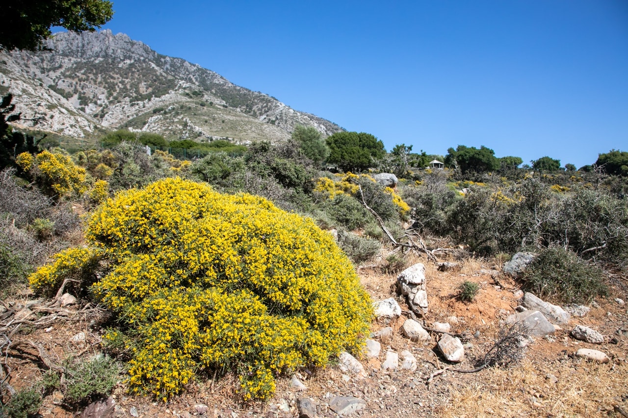 discover crete