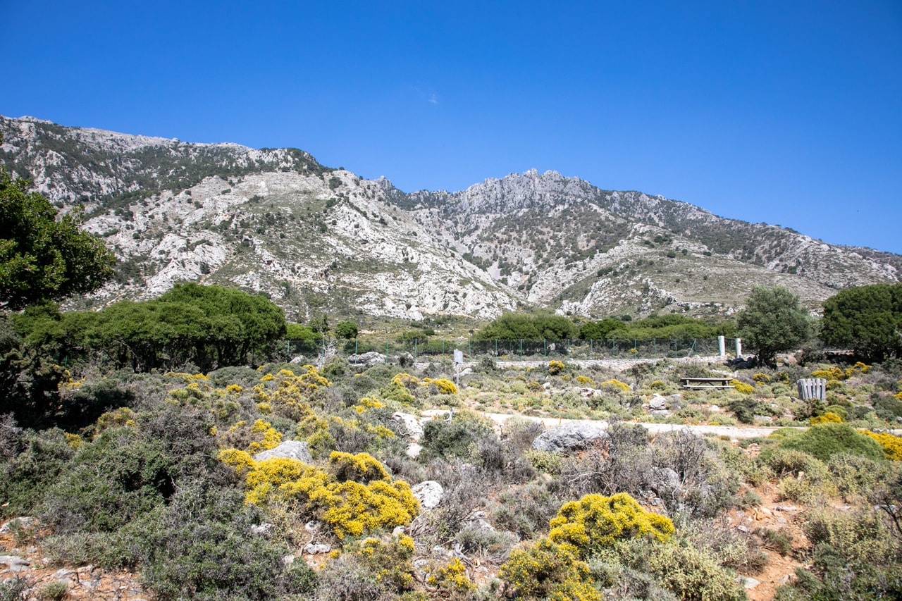 discover crete