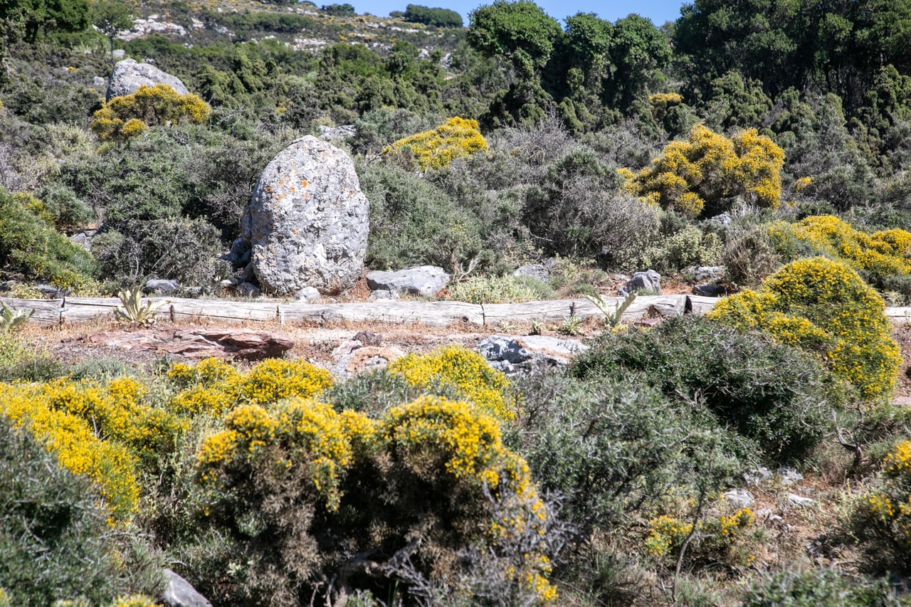 discover crete