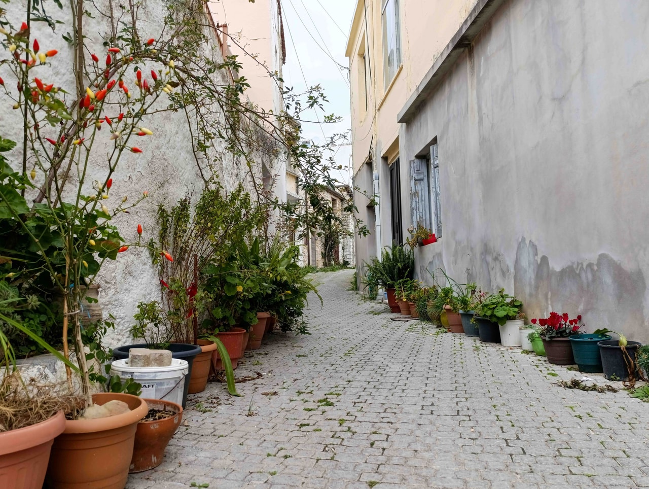 discover crete