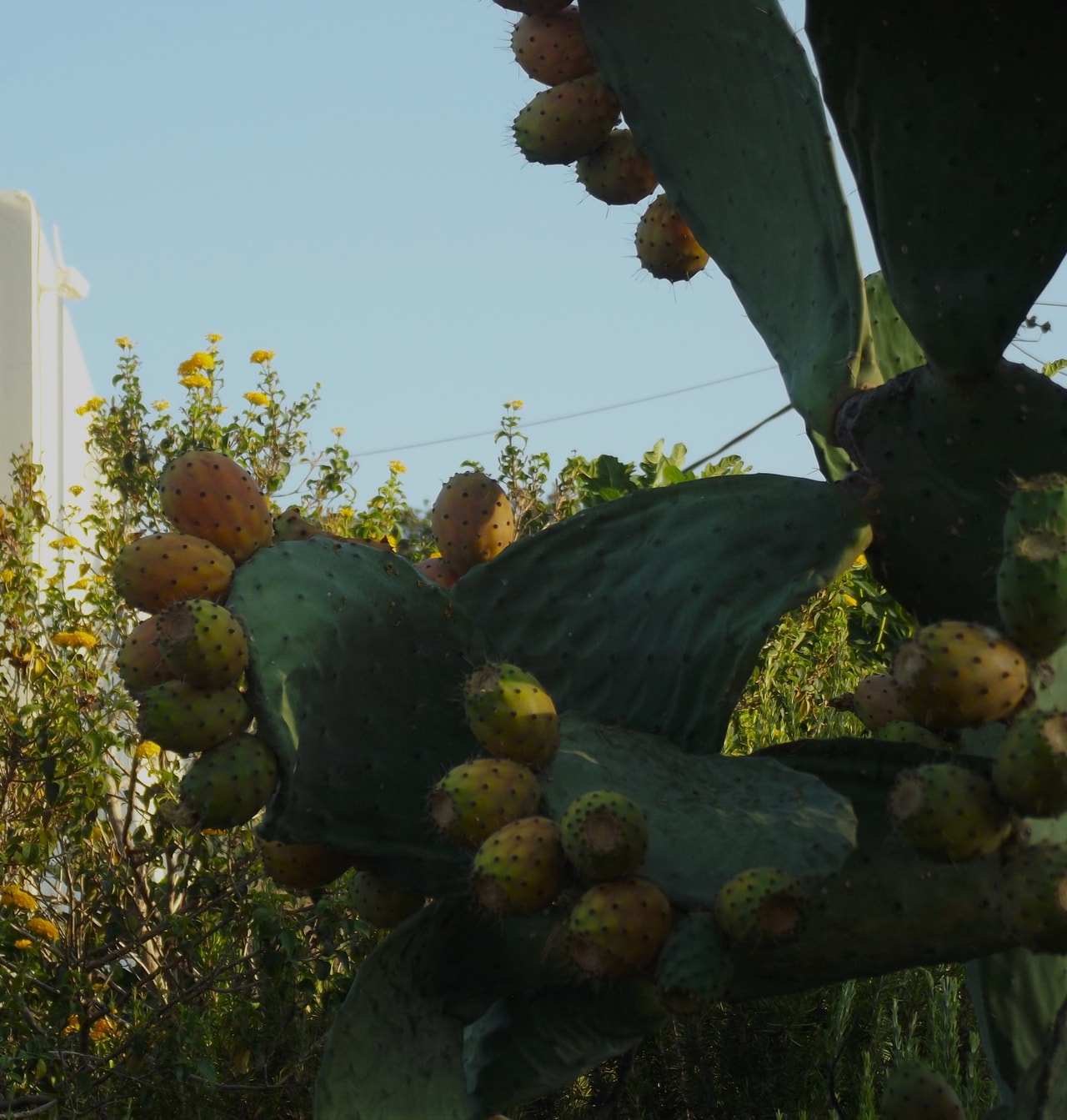 discover crete