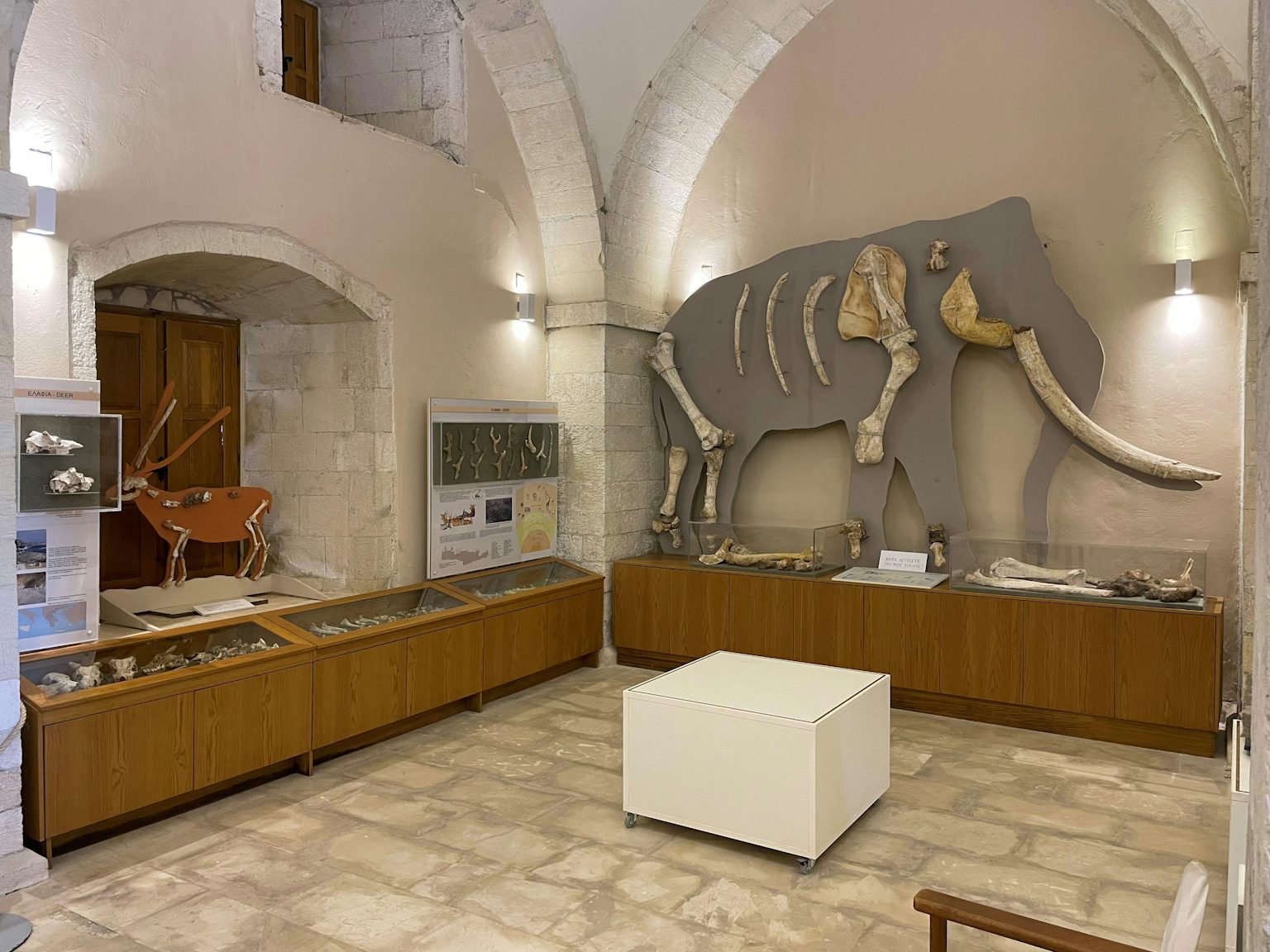 Rethymno' s Paleontological Museum