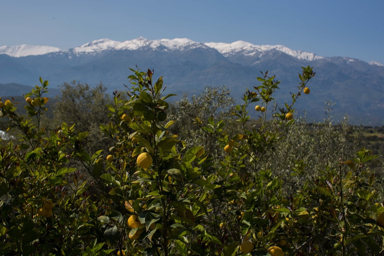 discover crete