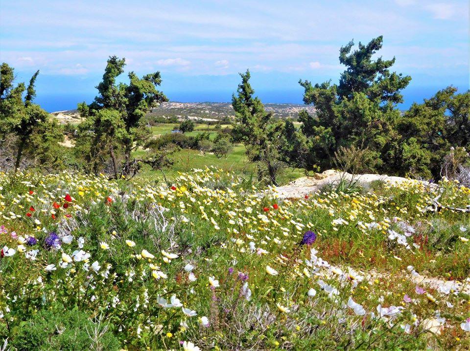 discover crete