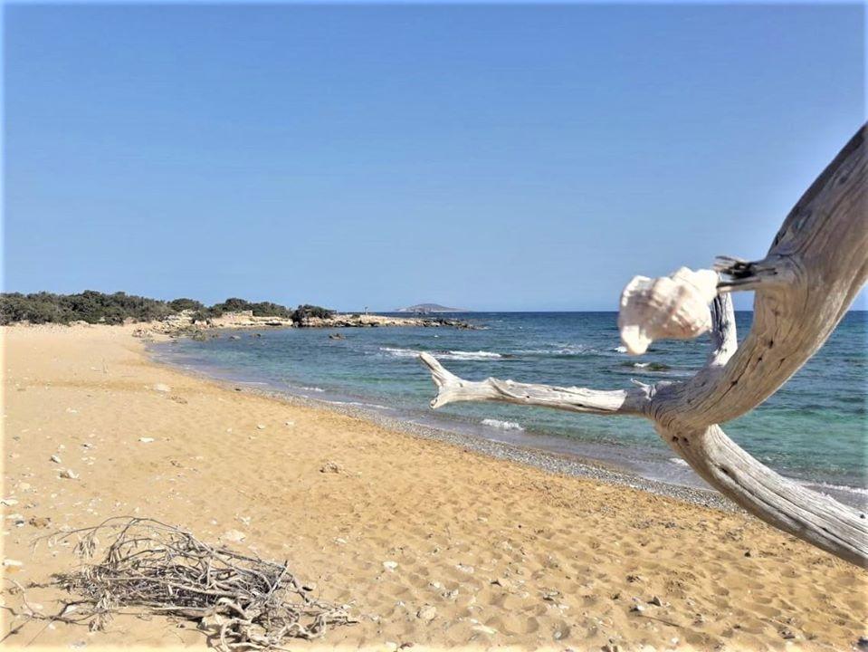 discover crete