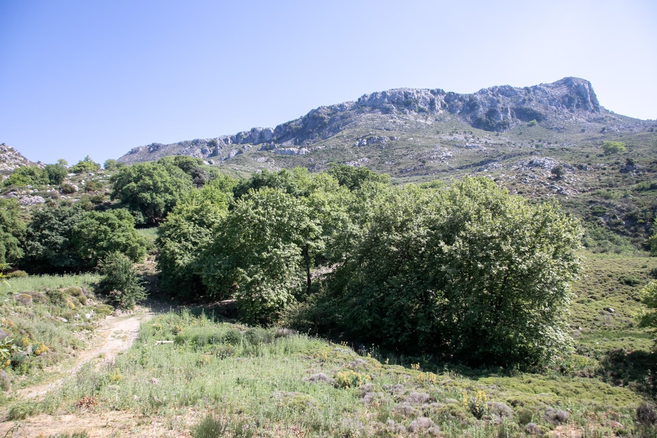 discover crete