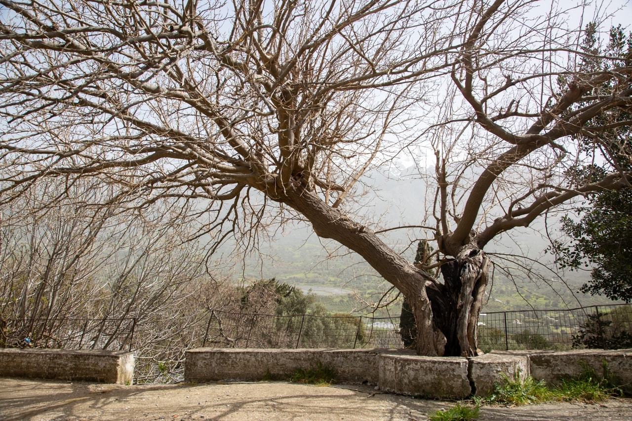 discover crete