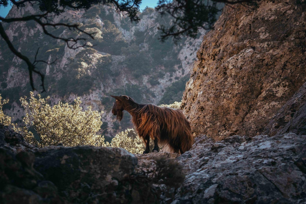 discover crete