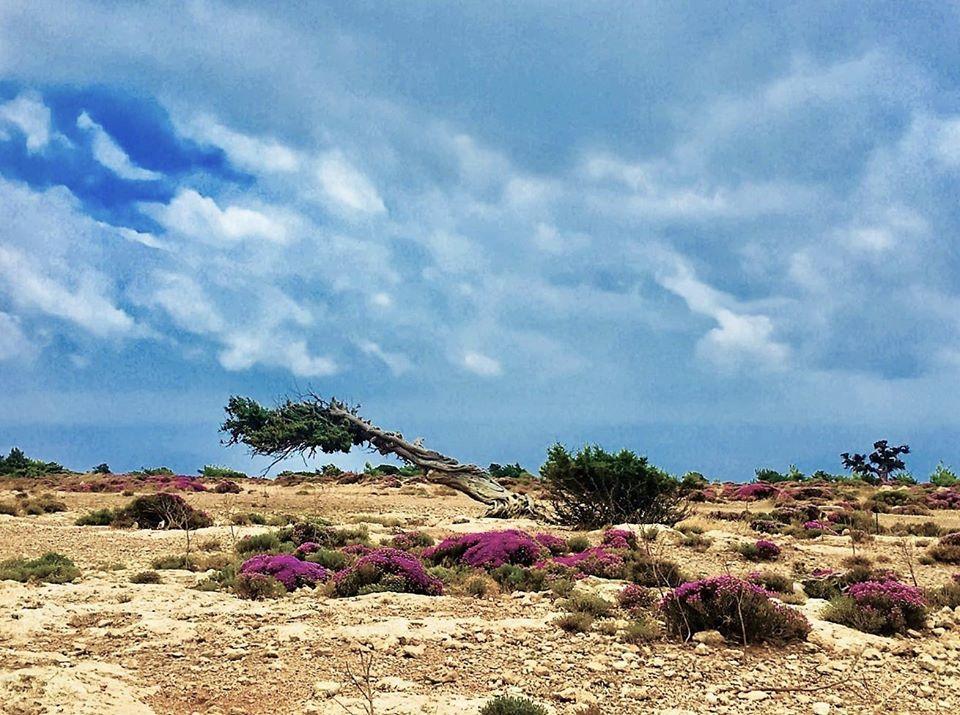 discover crete