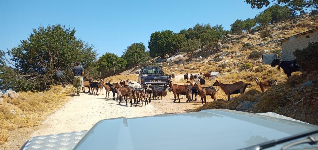 discover crete