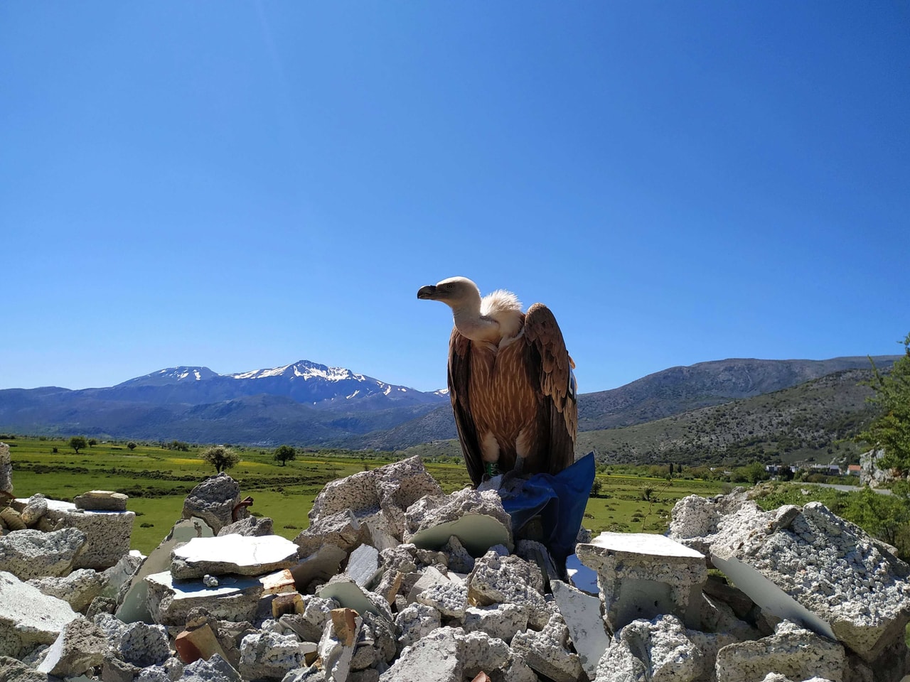 discover crete