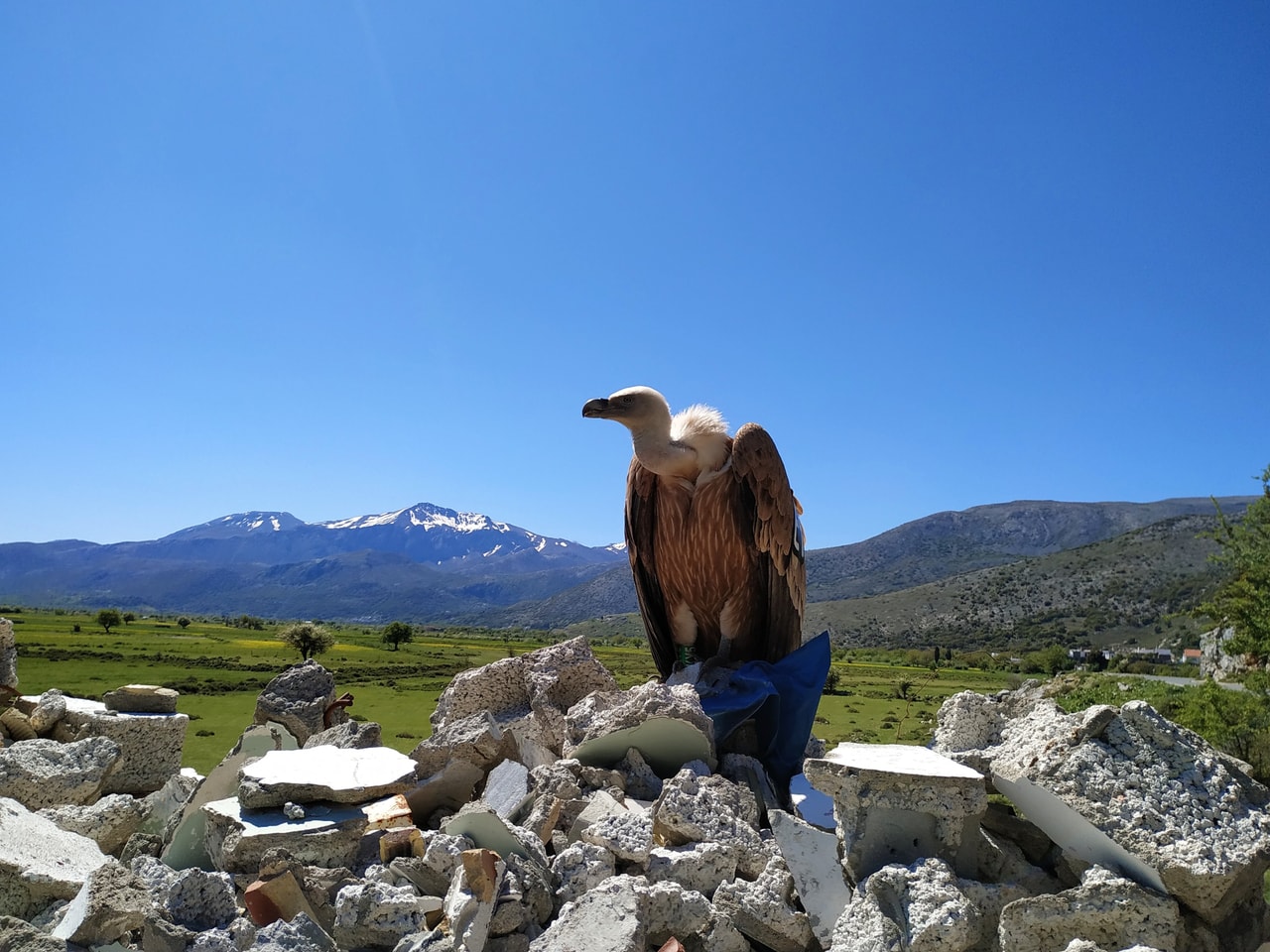 discover crete