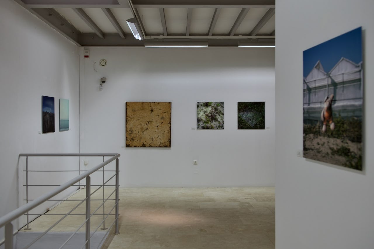 Savvas Petrakis Art Gallery in Viannos
