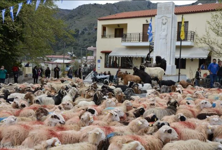 Blessing of the Sheep in Asi Gonia