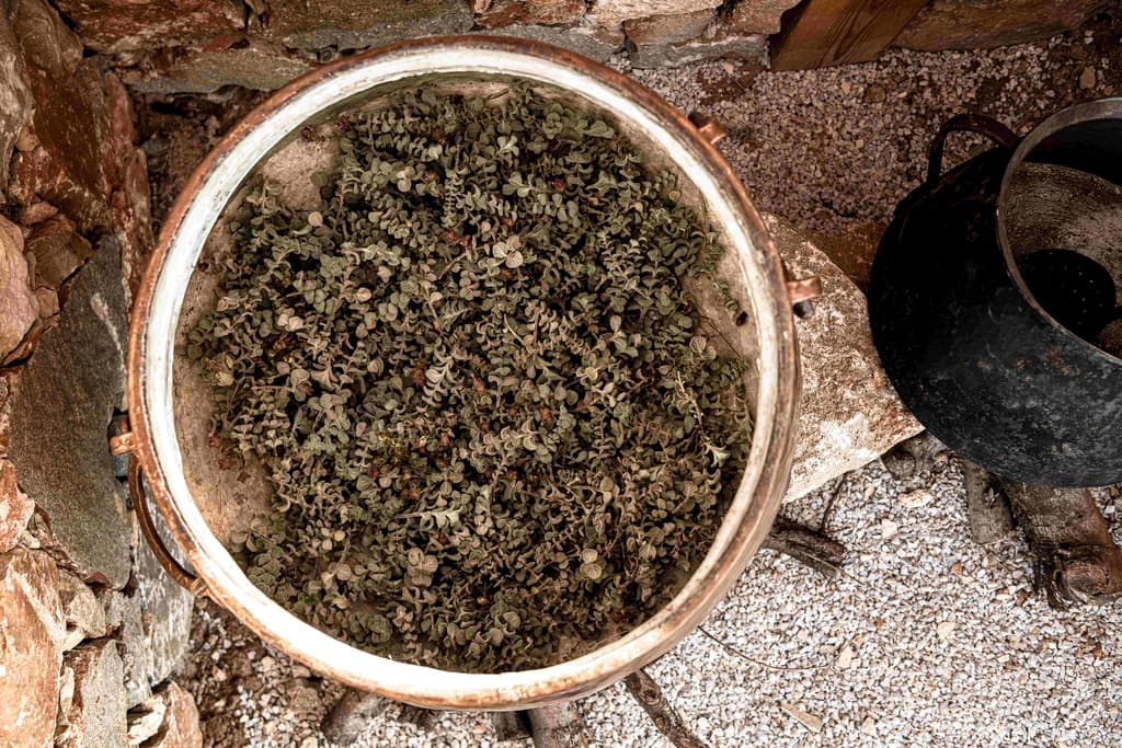 Title: Herbs: The Traditional Distillation Method of Crete