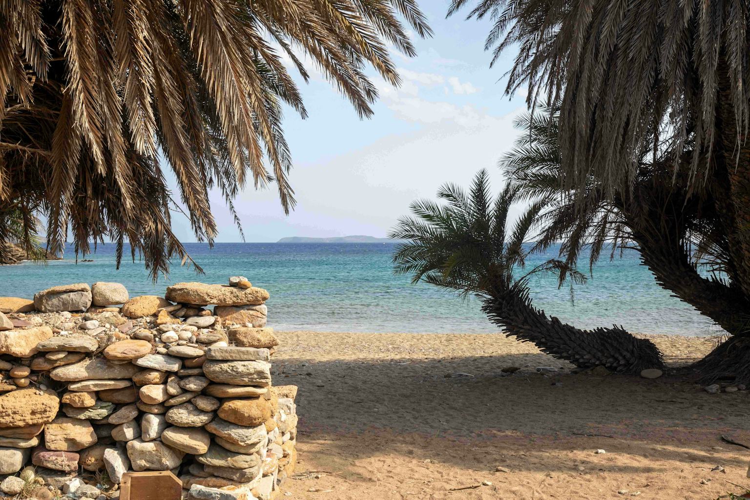 Erimoupolis Beach: Palm Trees Grace More than Just Vai