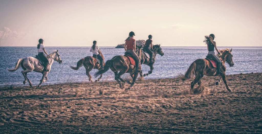 Amnisiades Park: Ιππασία στην ακρογιαλιά, μια αξέχαστη περιπέτεια!